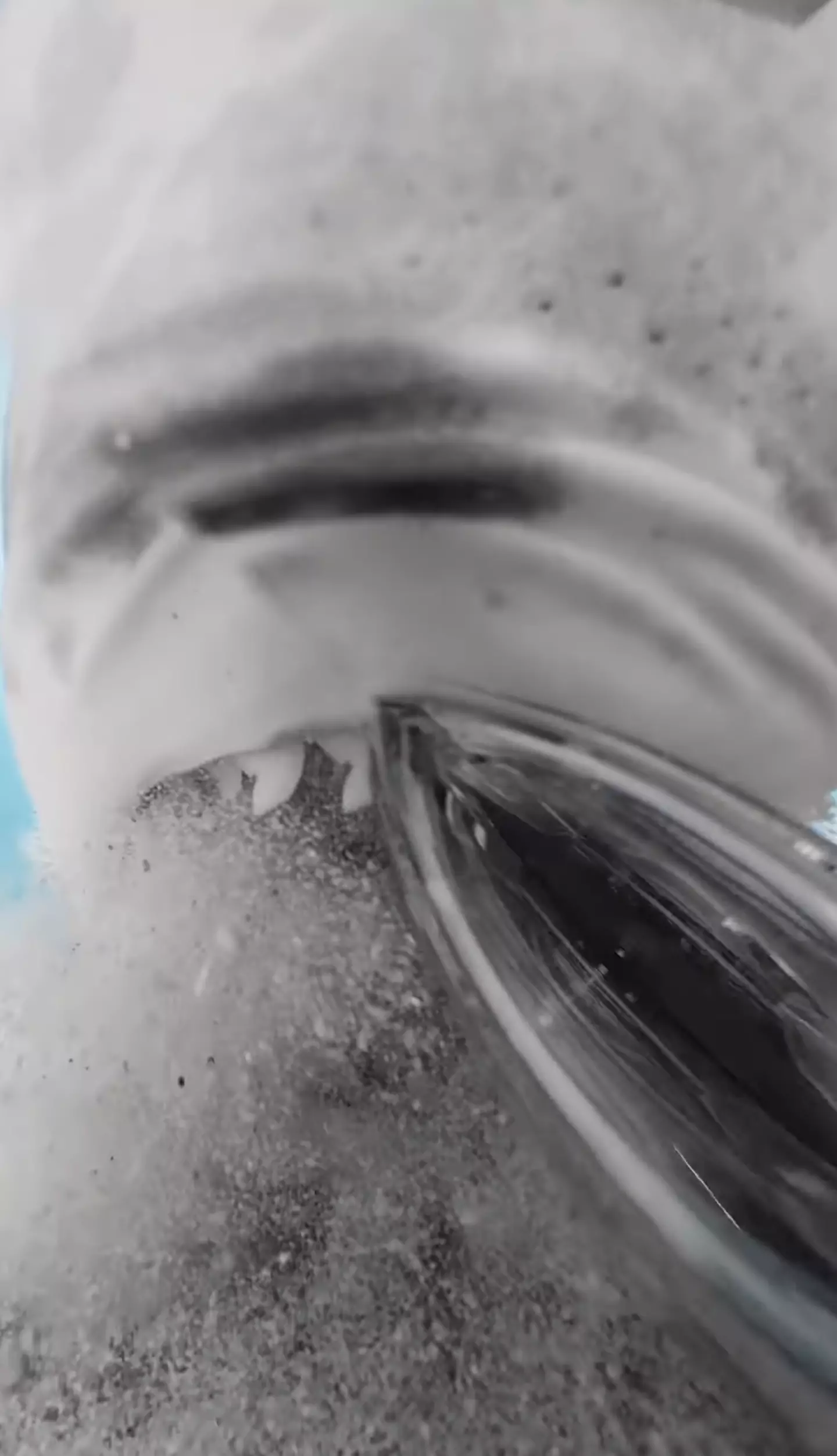 Conservationist and filmmaker filmmaker Zimy Da Kid was out in Maldives when he captured the footage.