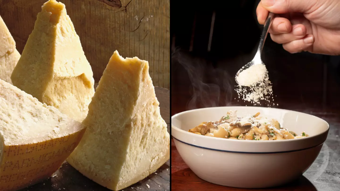 People are disgusted after finding out what Parmesan cheese is made from