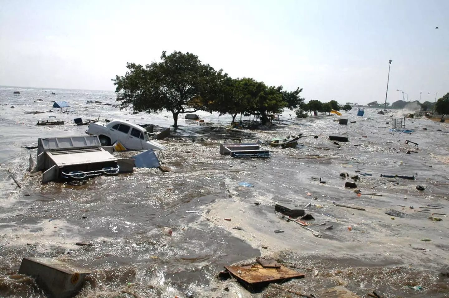 The tsunami was one of the worst in history (AFP via Getty Images)