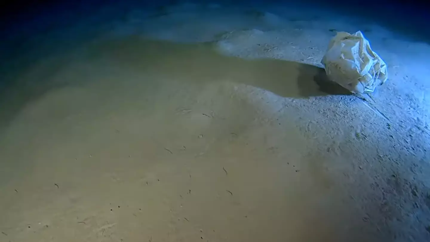 Scientists' warning after making disturbing discovery at the deepest point of the Mediterranean Sea