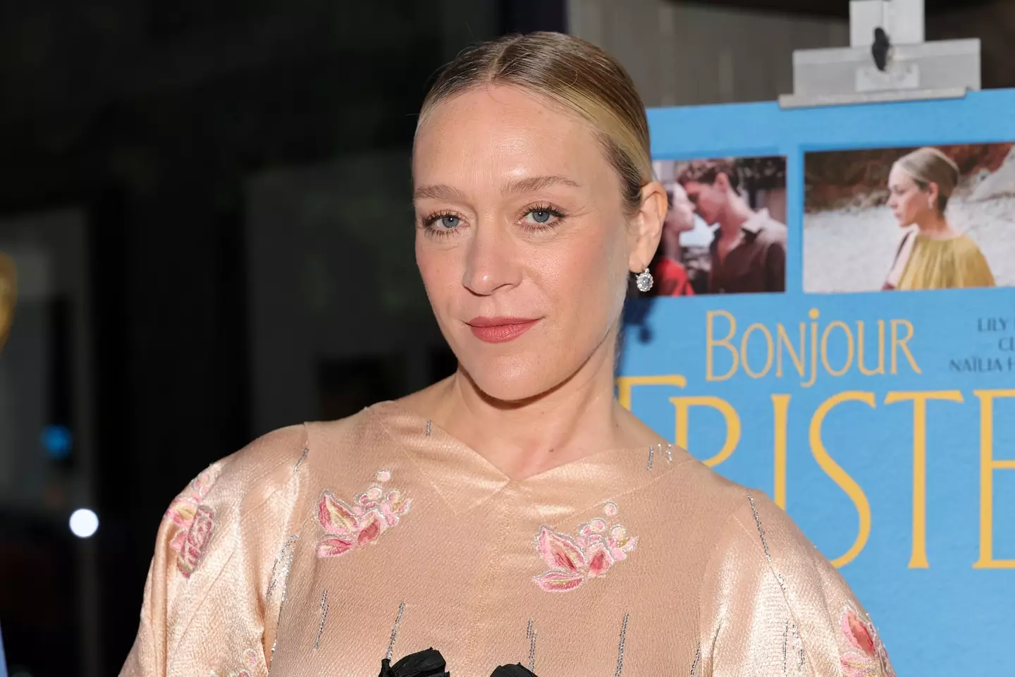 Sevigny has continued to have a successful career (Dia Dipasupil via Getty Images)