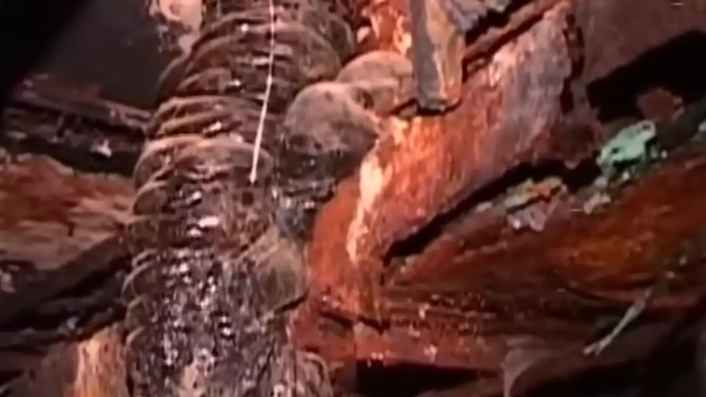 People make chilling observation about camera footage as man walked near Elephant's Foot in Chernobyl
