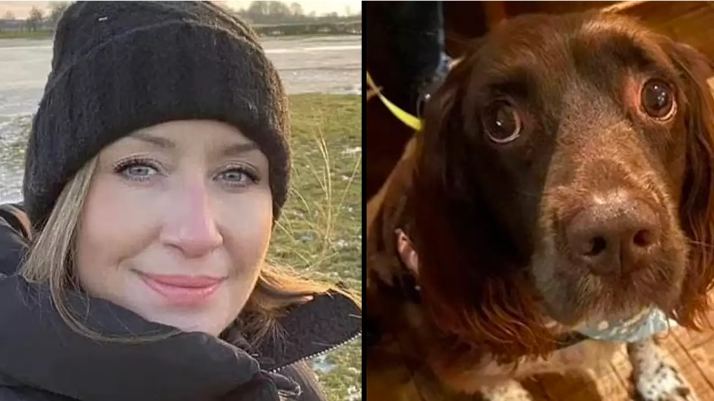 Missing woman vanished on footpath leaving phone and dog behind