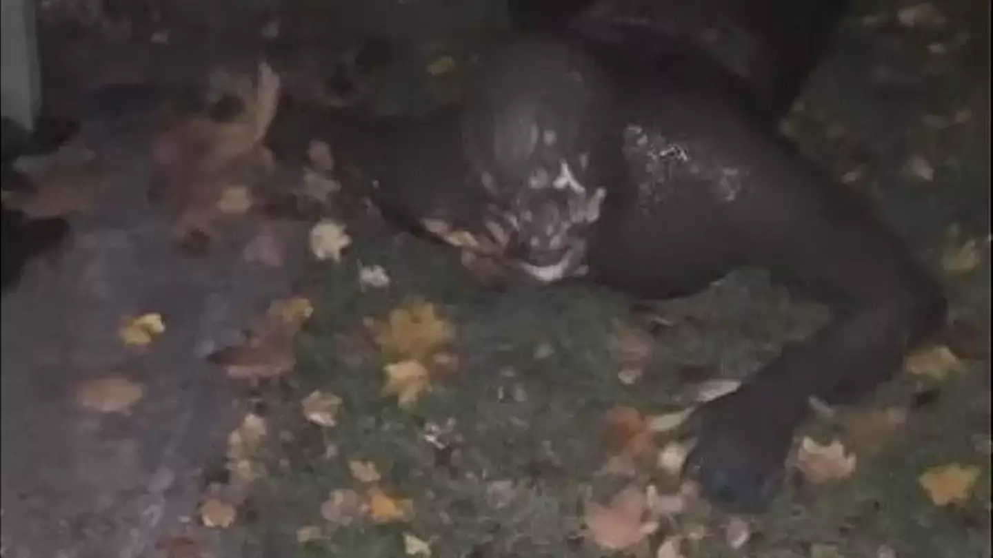 Honestly, what is going on here?