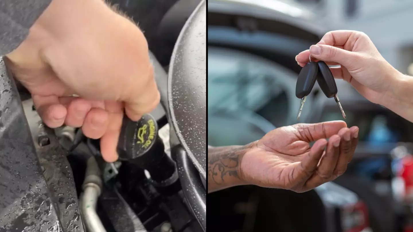 TikTok/@jackofallbeards / Getty Stock Photo