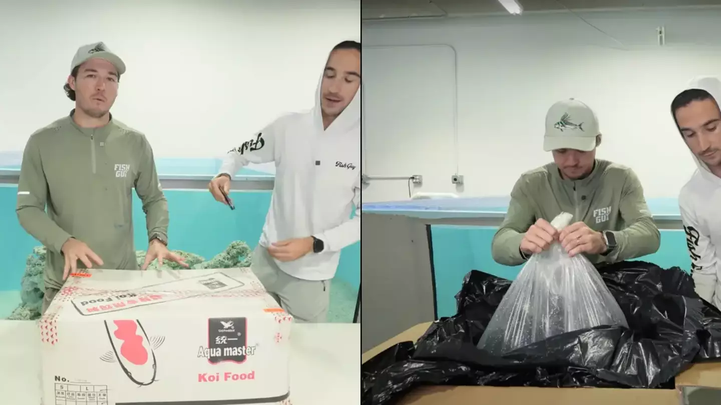 YouTube/The Fish Guys