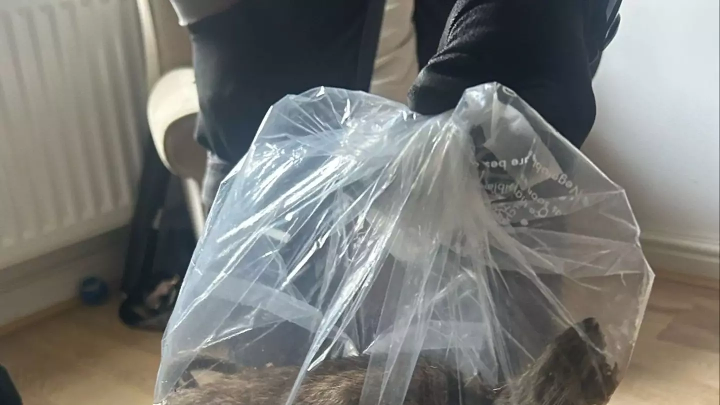 Councillors Paul McInnes, Paul Salvin and Curt Pugh/Facebook