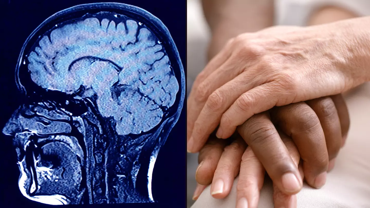 Scientists record human brain as someone dies and make incredible revelation