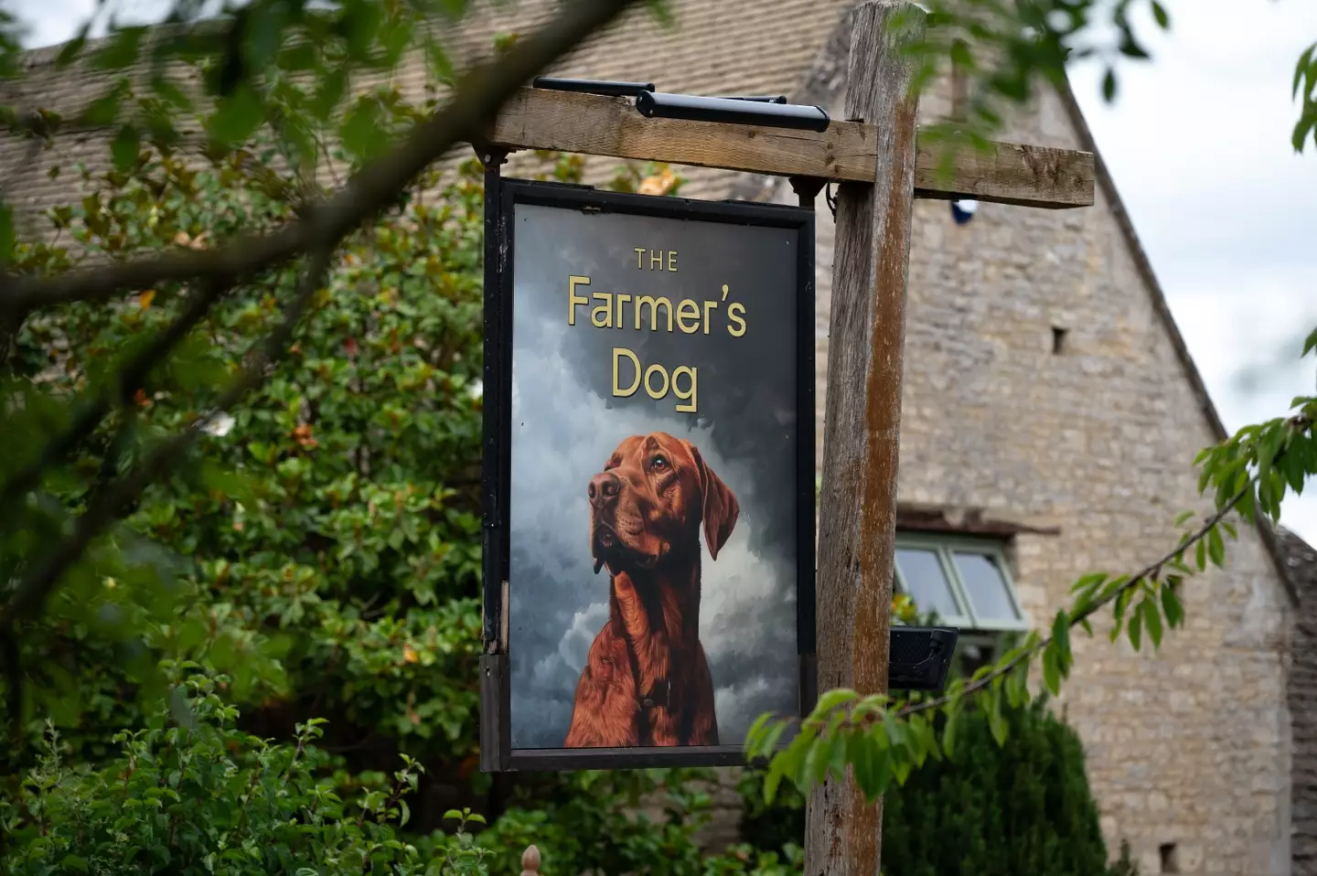 Welcome to The Farmer's Dog, the management would deeply appreciate it if you would remember to aim while defecating (John Keeble/Getty Images)