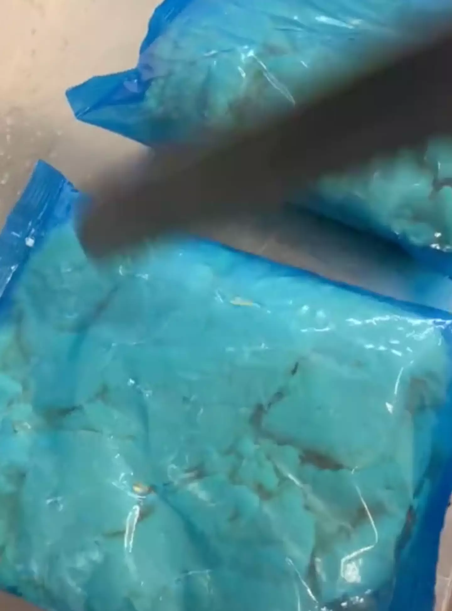 The eggs arrive in a blue plastic bag.