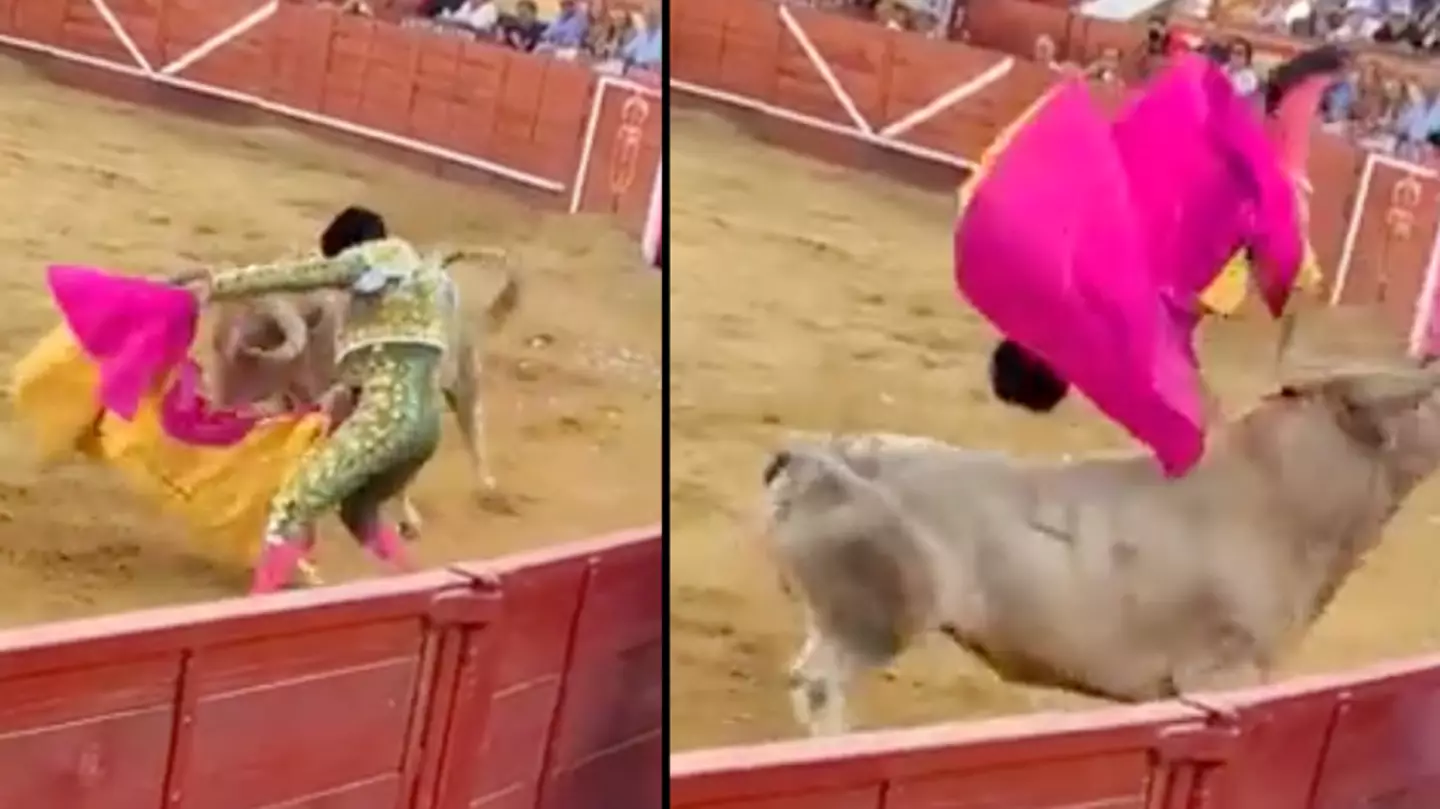 Matador taken to hospital in a serious condition after bull gores him in the bum