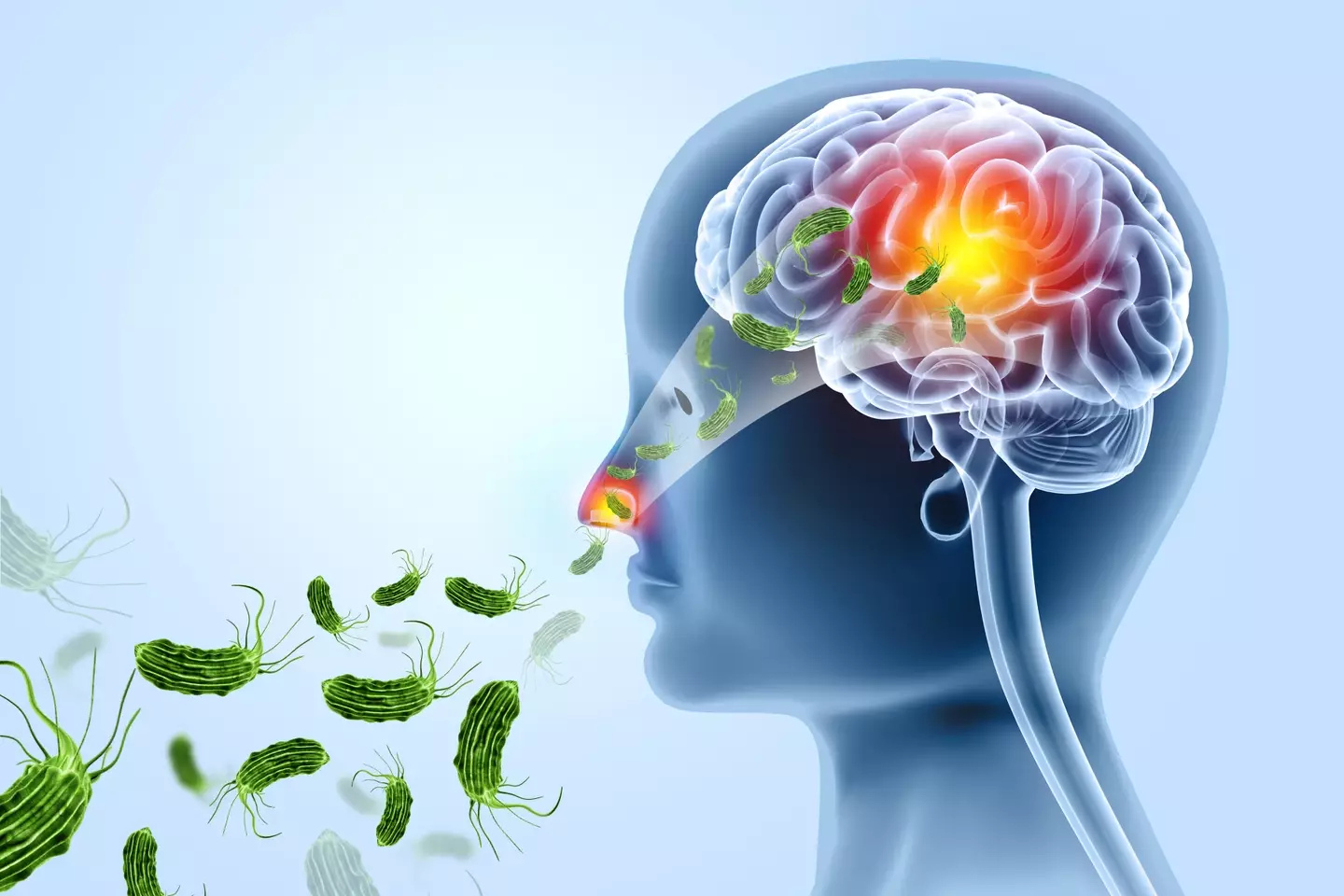 While infections are rare, they are nearly always deadly (Getty Stock Images)