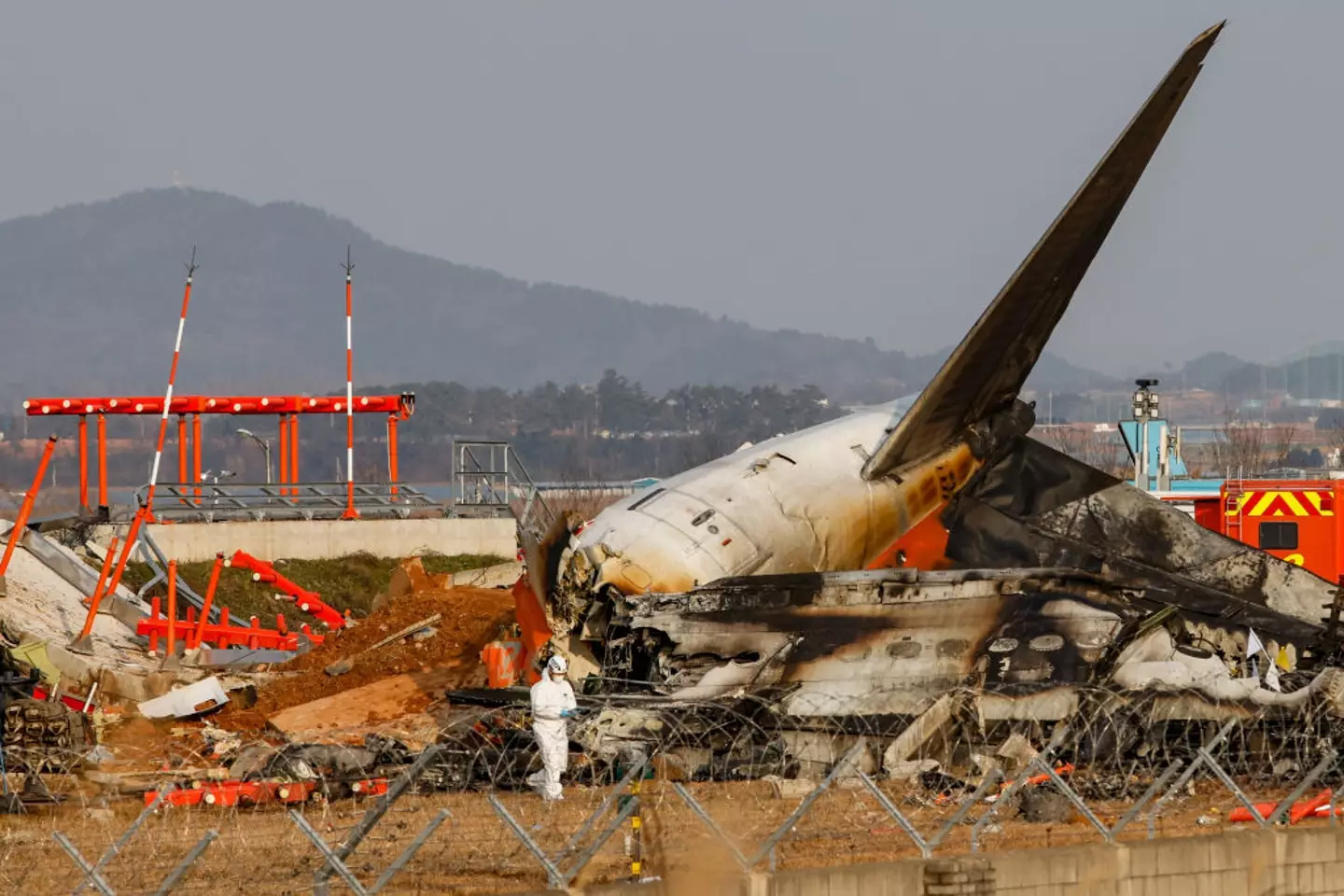 All but two of the 181 on board Jeju Air's Boeing 737-800 died from the crash on 29 December (Chris Jung/NurPhoto via Getty Images)