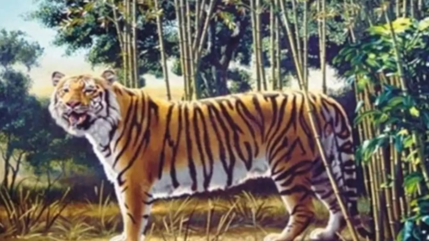 Only 1% Of People Can Spot Second Tiger In This Optical Illusion