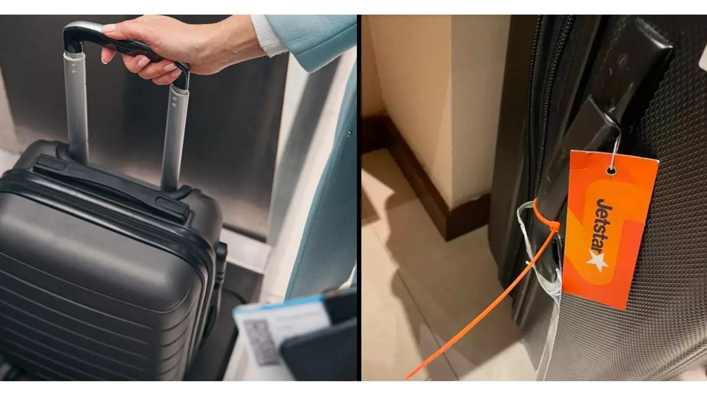 Woman baffled after finding airline staff put zip tie on her suitcase