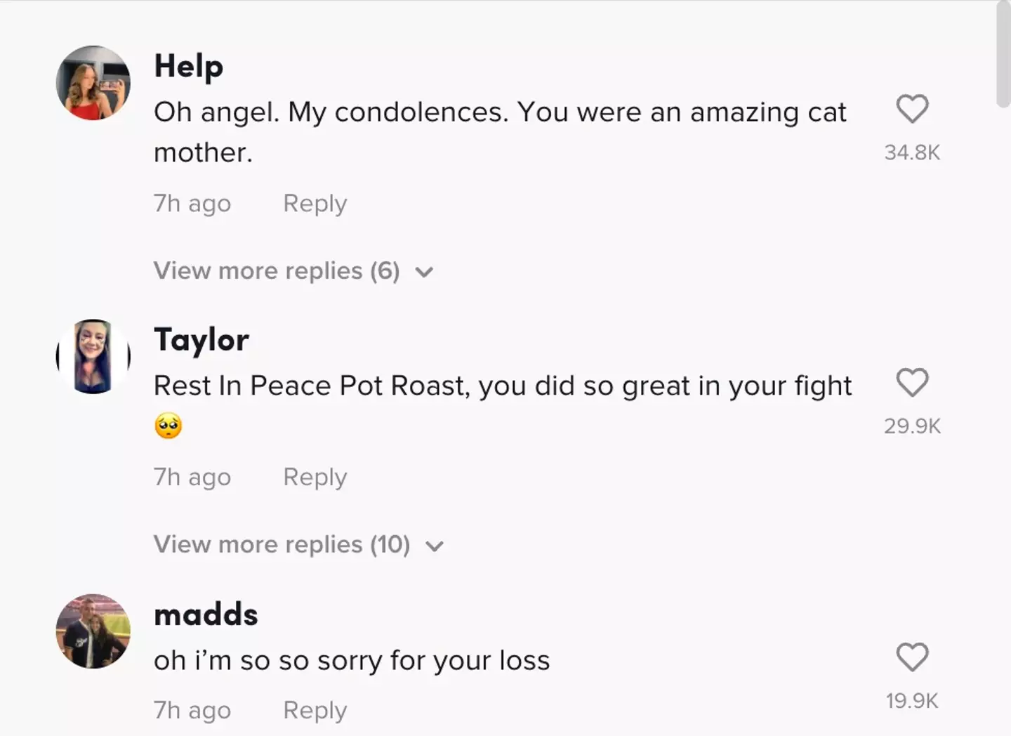 Fans have penned tributes to Pot Roast the cat on TikTok after her recent passing (TikTok @potroastsmom)