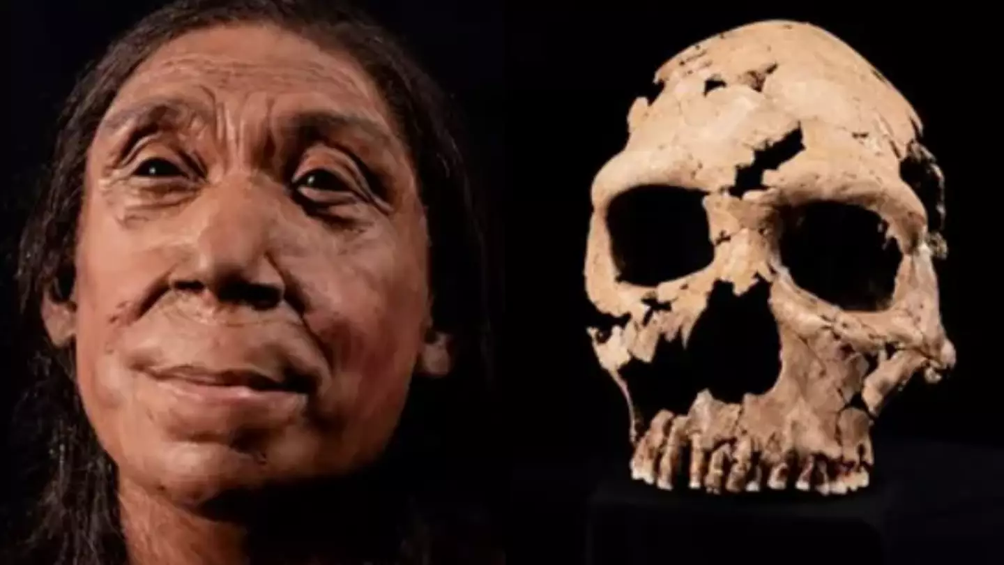 Extremely well-preserved Neanderthal skeleton found in ‘Flower Funeral’ cave