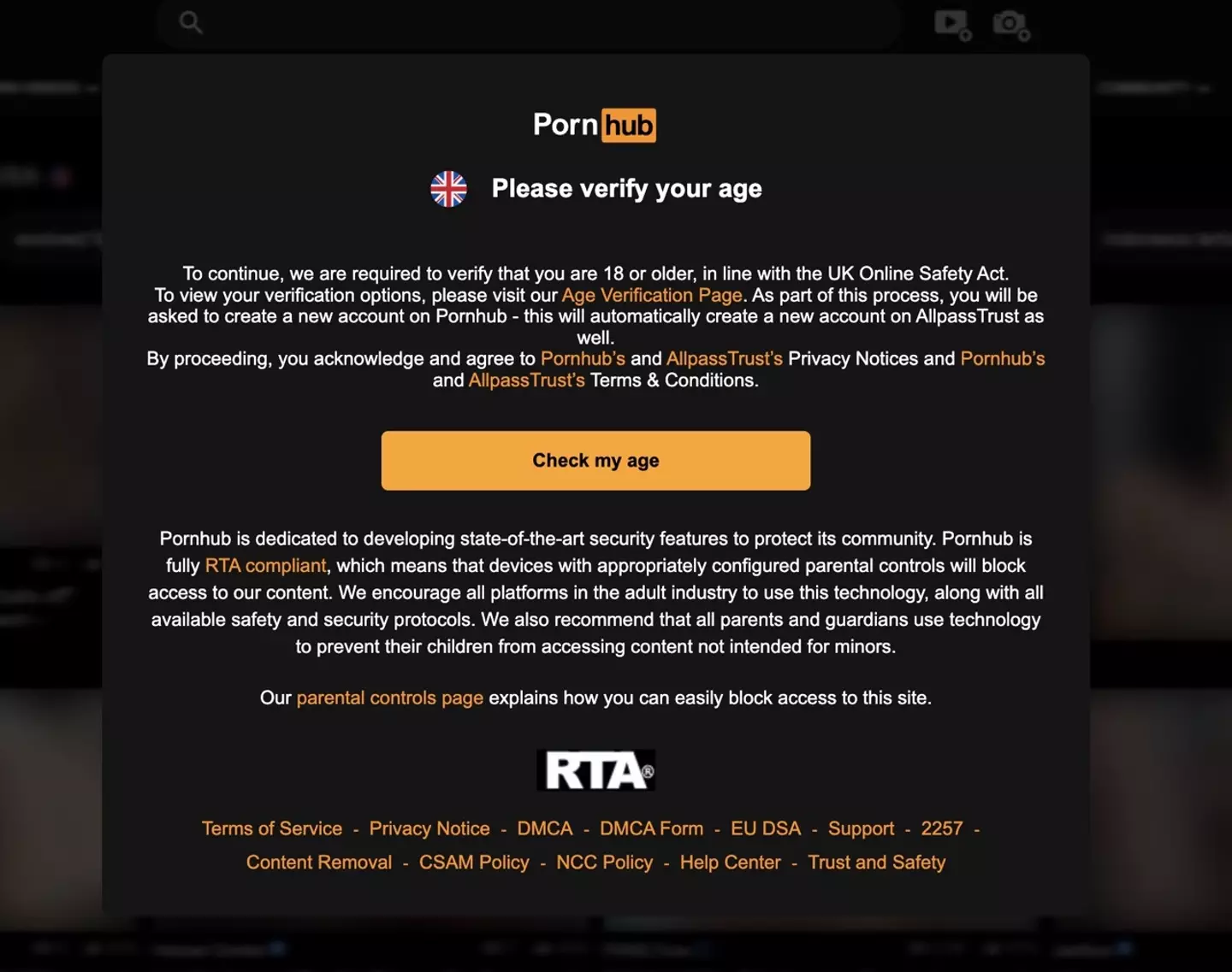 Pornhub has introduced new verification rules on their UK website (Pornhub)