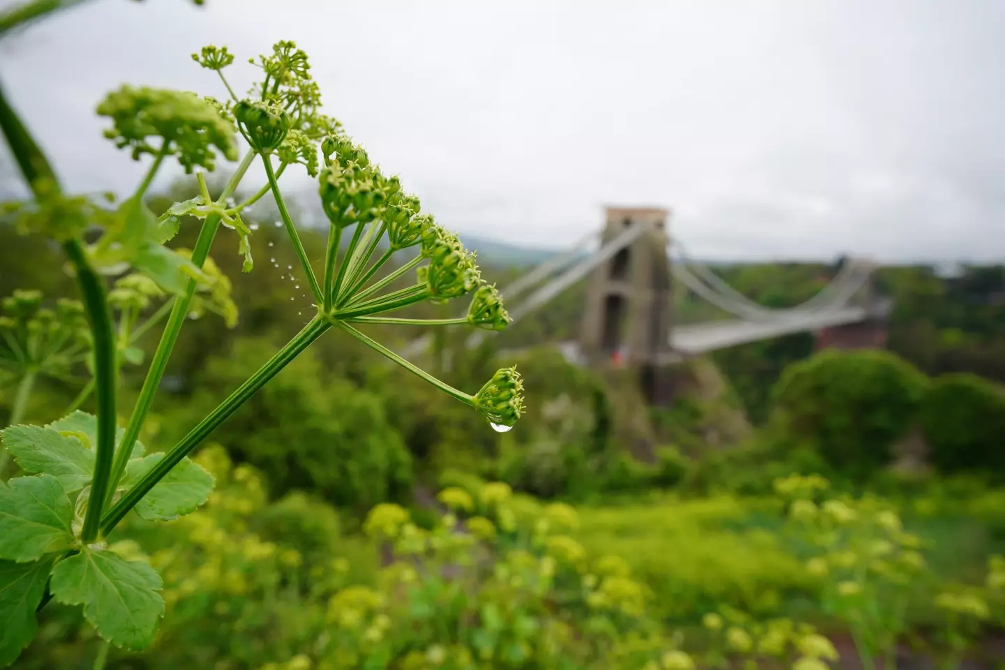 Clifton Suspension Bridge (Ben Birchall/PA Wire)