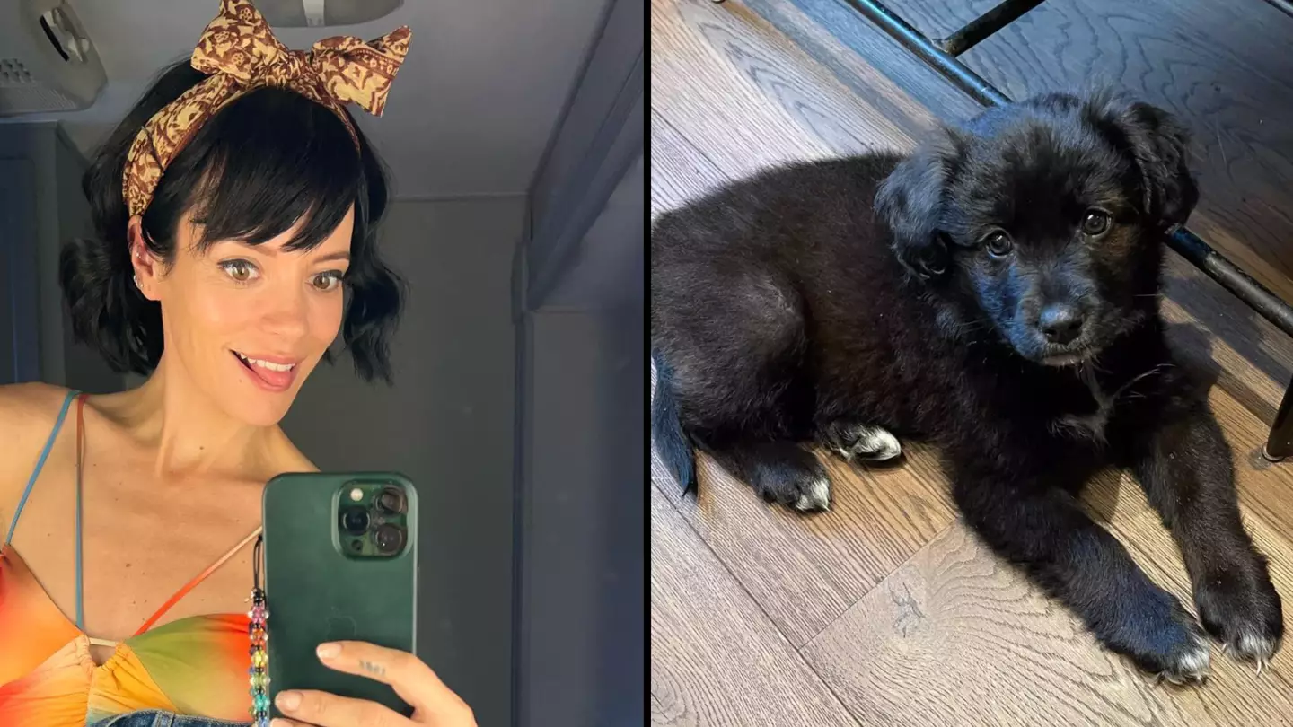 Lily Allen releases statement after being slammed for getting rid of her dog for eating her passport