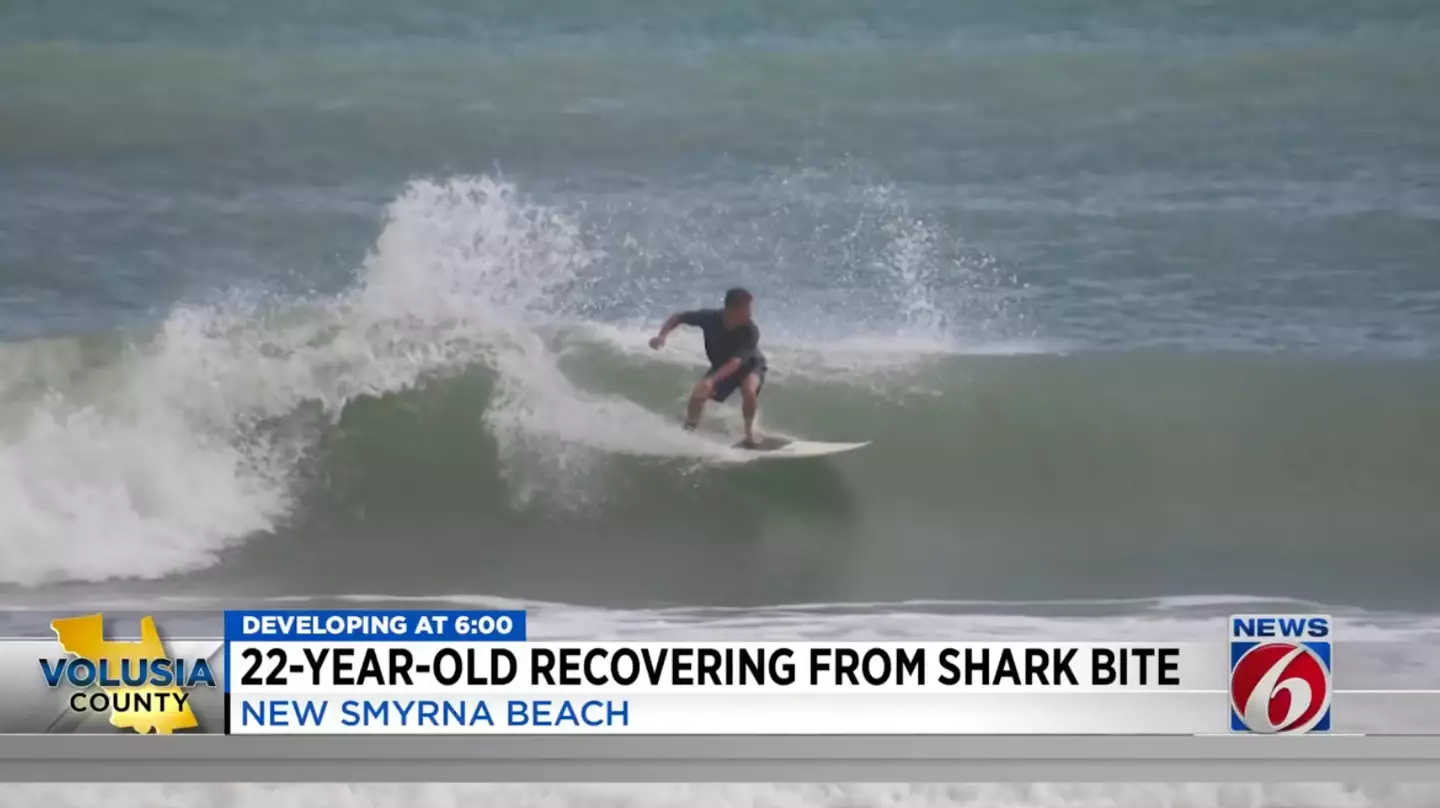 He'd even seen sharks in the water, but didn't seem too worried.