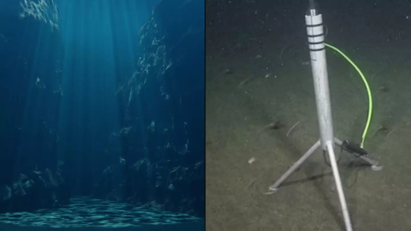 Scientists can finally explain mysterious clicking sound detected thousands of feet below ocean's surface