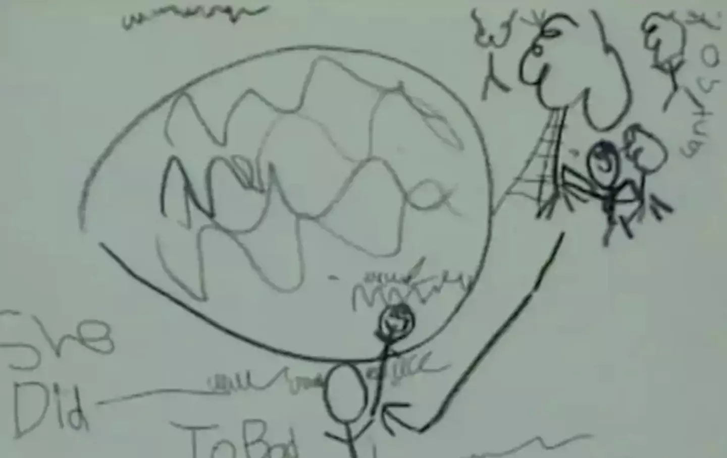 AJ's tragic drawing of his sister's final moments was shown in court (Court TV)