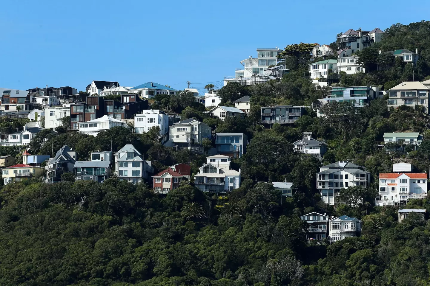 The couple were living in Roseneath, New Zealand (Hagen Hopkins/Getty Images)