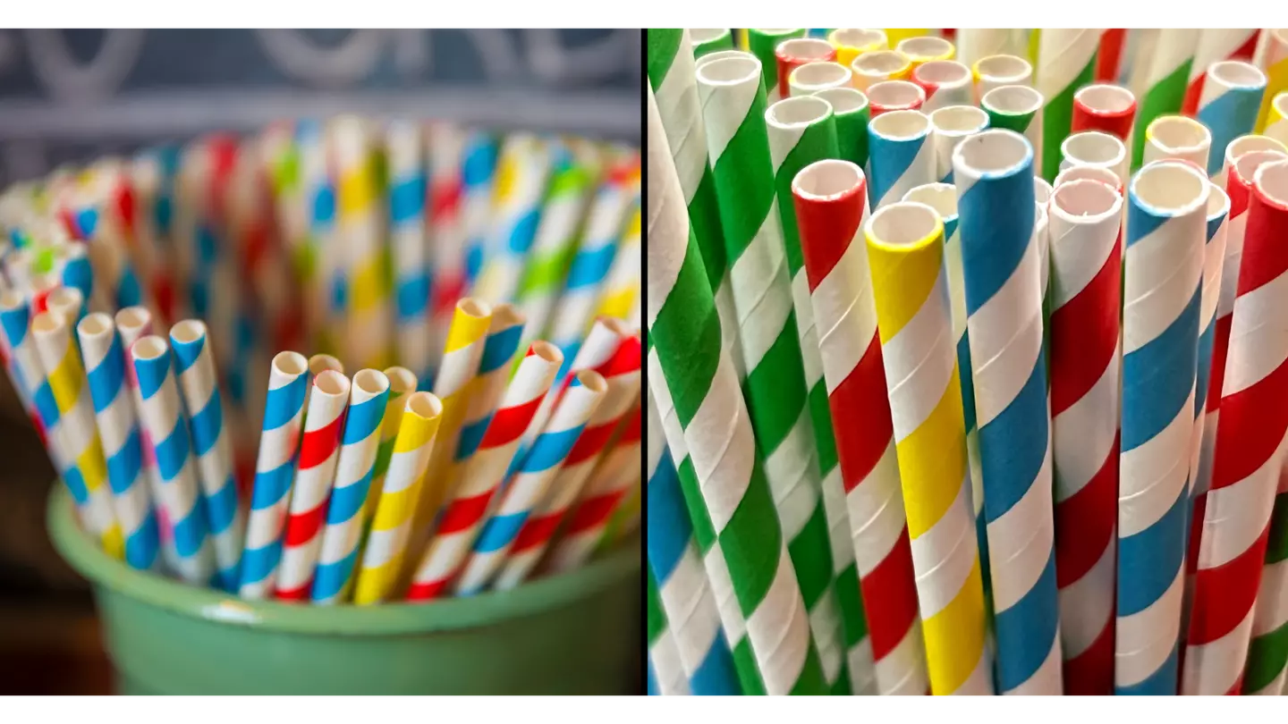 Eco-friendly paper straws found to contain long-lasting and potentially toxic chemicals