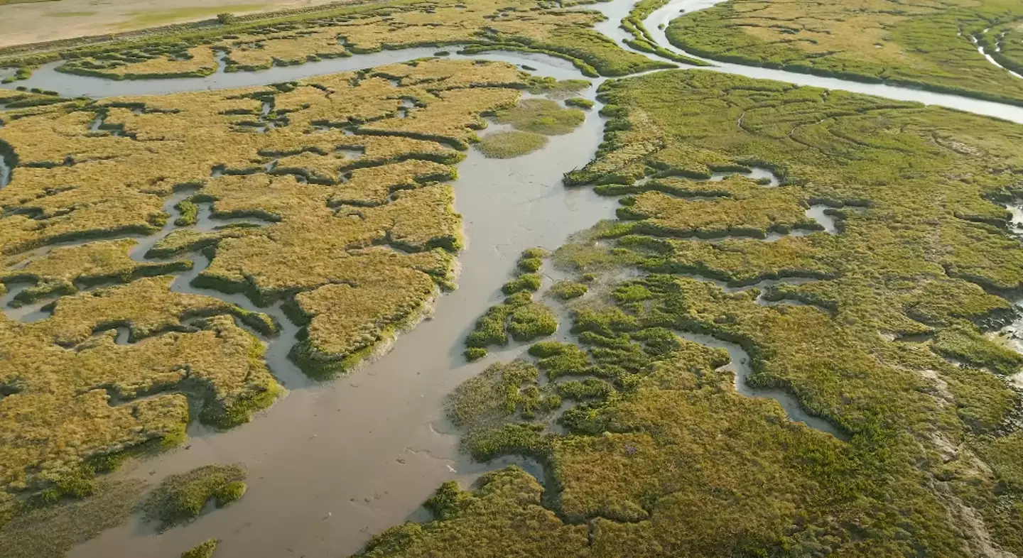 Dead Man's Island is located in the Swale Estuary near the town of Queenborough, Kent (YouTube/Dara Tah)