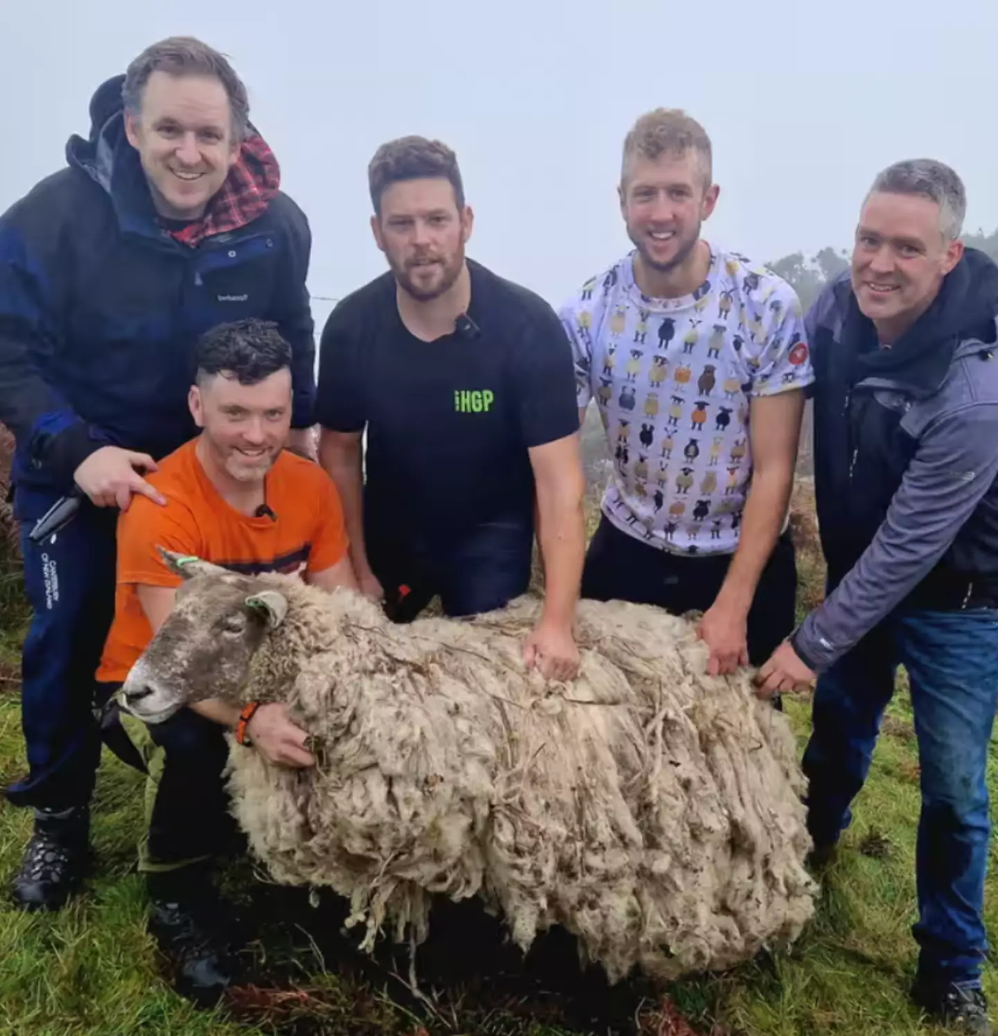 These five farmers worked together to save Fiona.