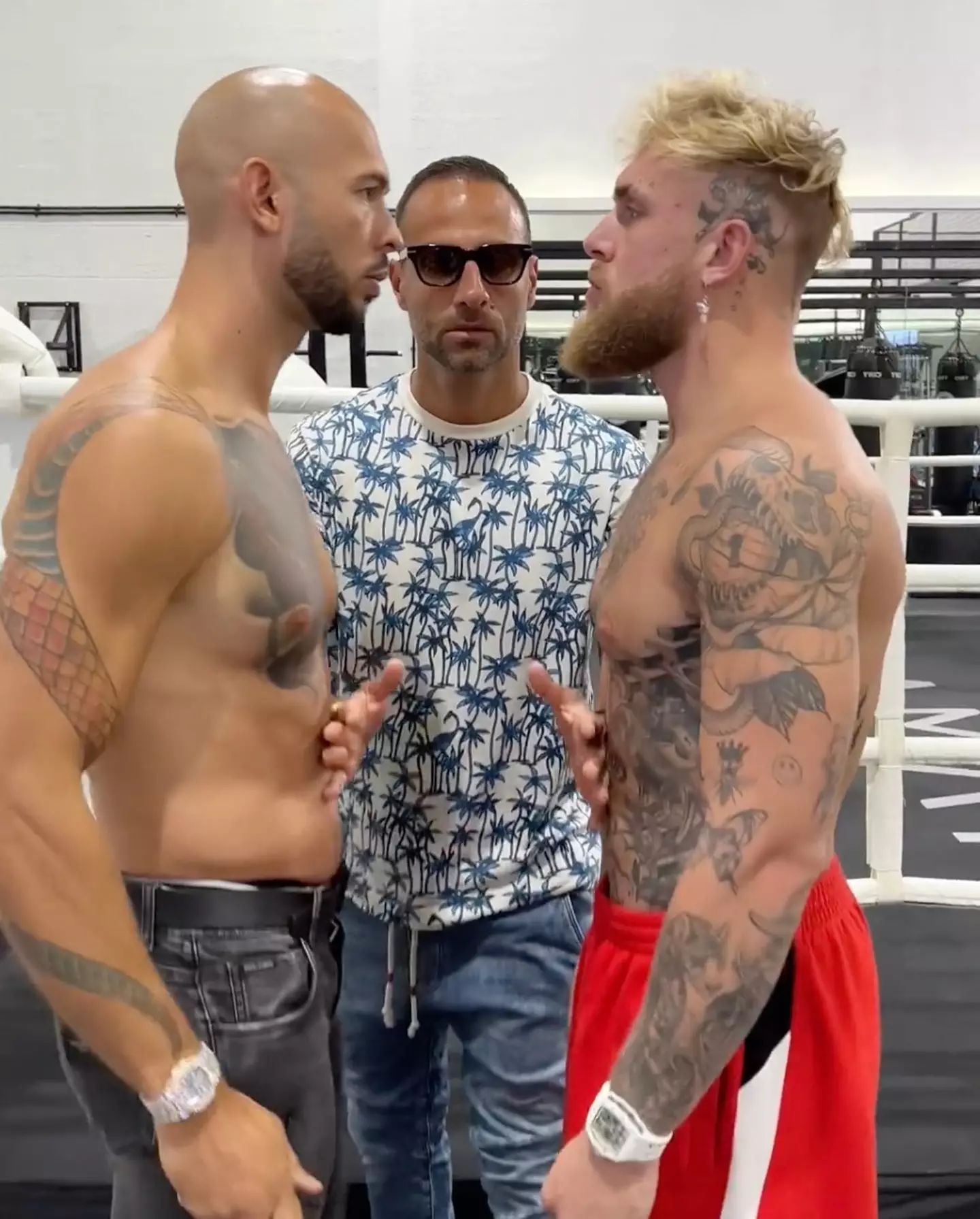 Andrew Tate and Jake Paul have finally met.