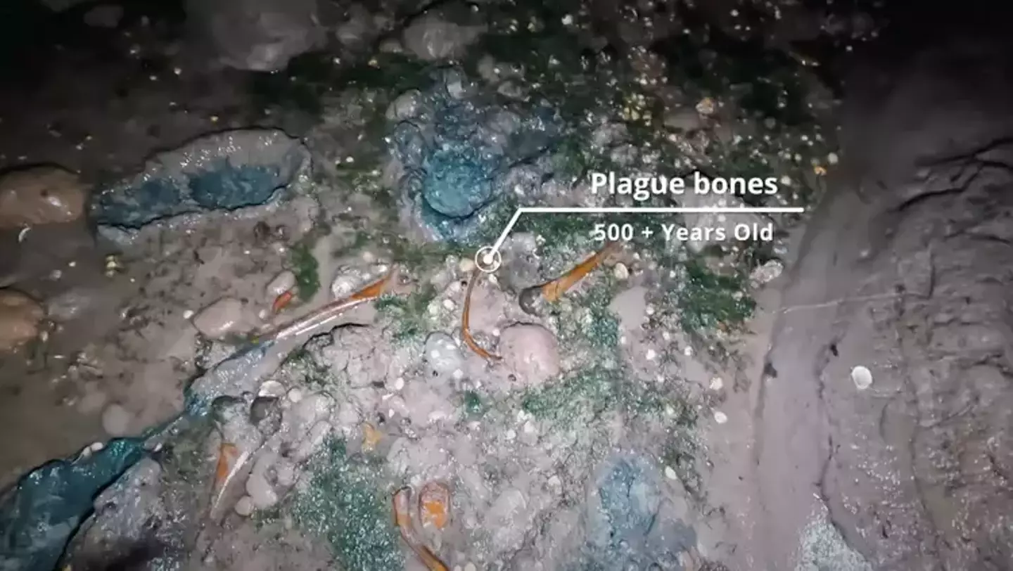 The amount of human remains on the island was shocking to see (YouTube/Dara Tah)