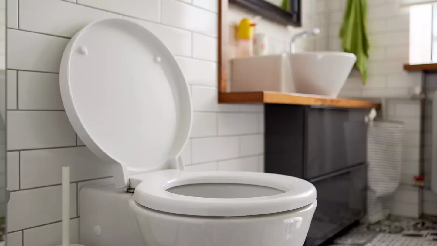 Horrifying reason you should always put the extractor fan on when going to the toilet