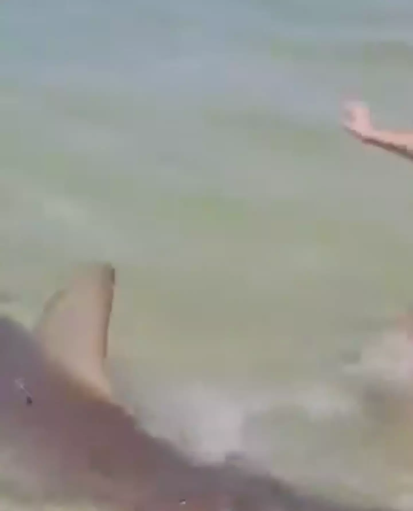 The footage was filmed before the shark attacked the man (X)
