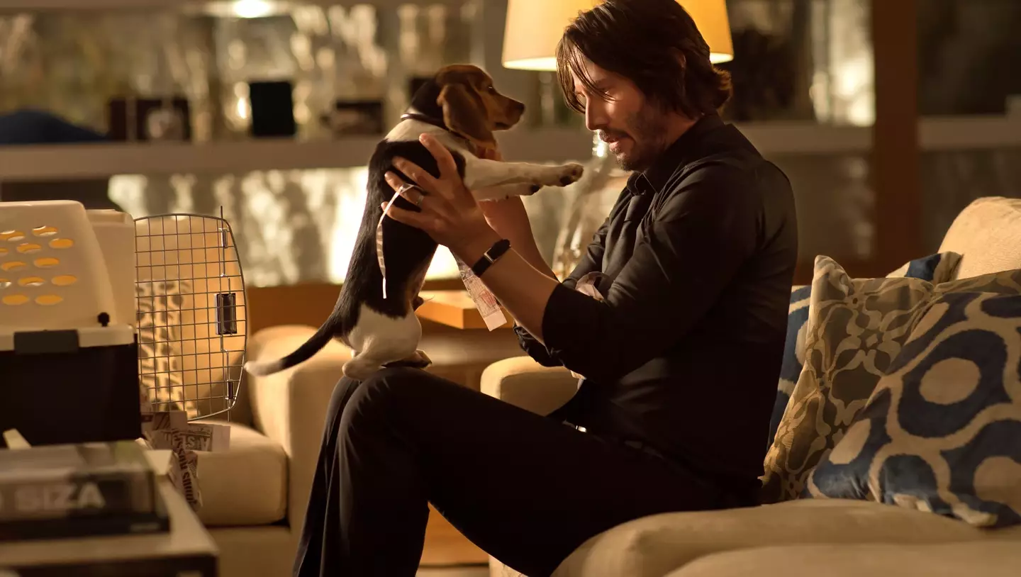 Reeves as Wick with his ill-fated pupperino.