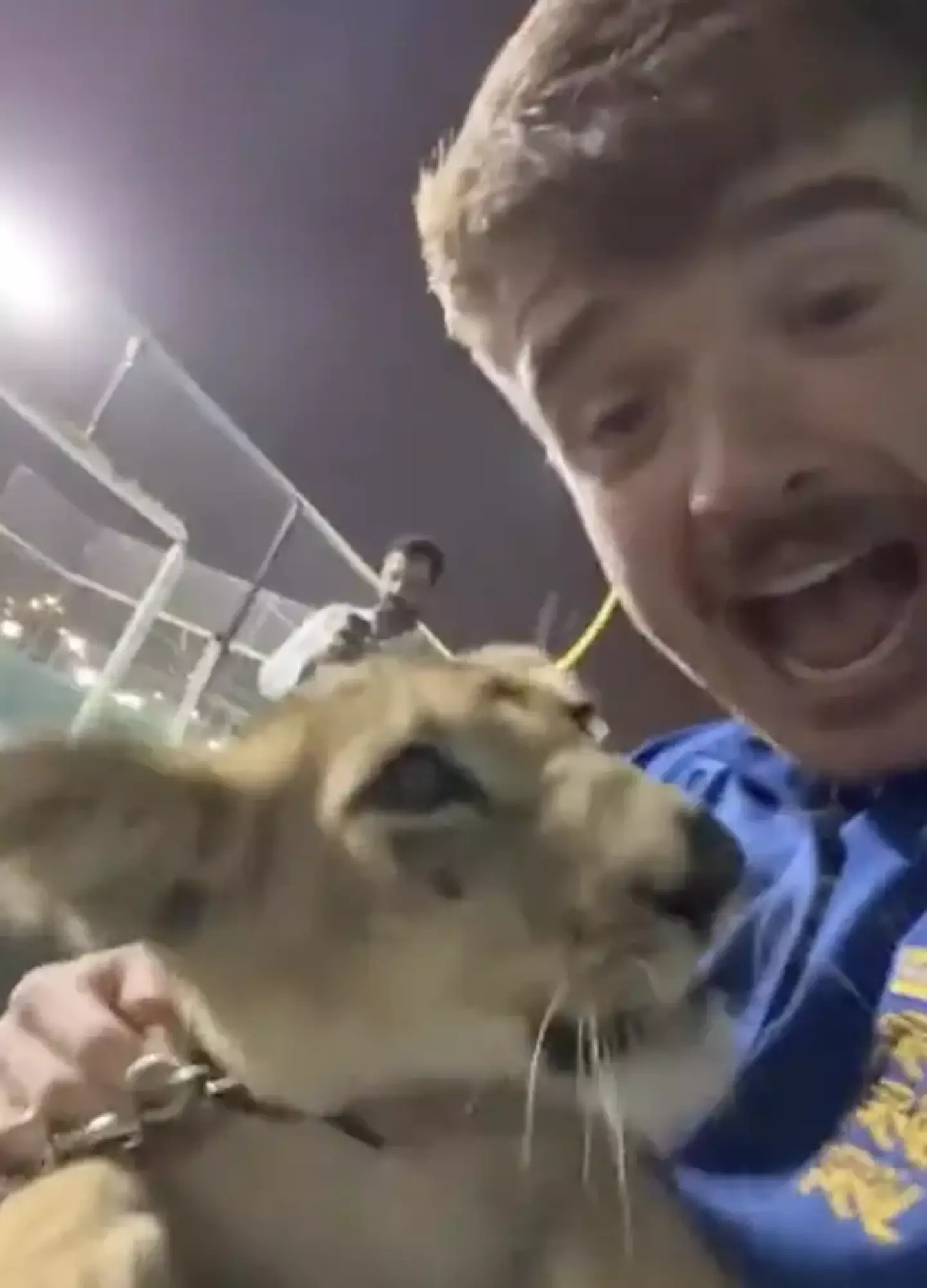 The football fan was filmed playing with a lion at a sheikh's palace.
