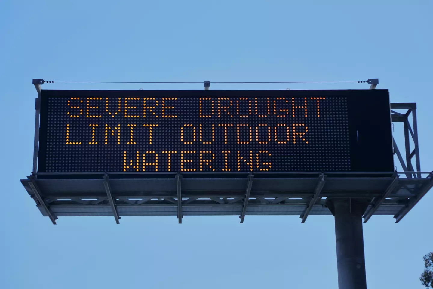 This isn't the first of her predictions to come true this year.