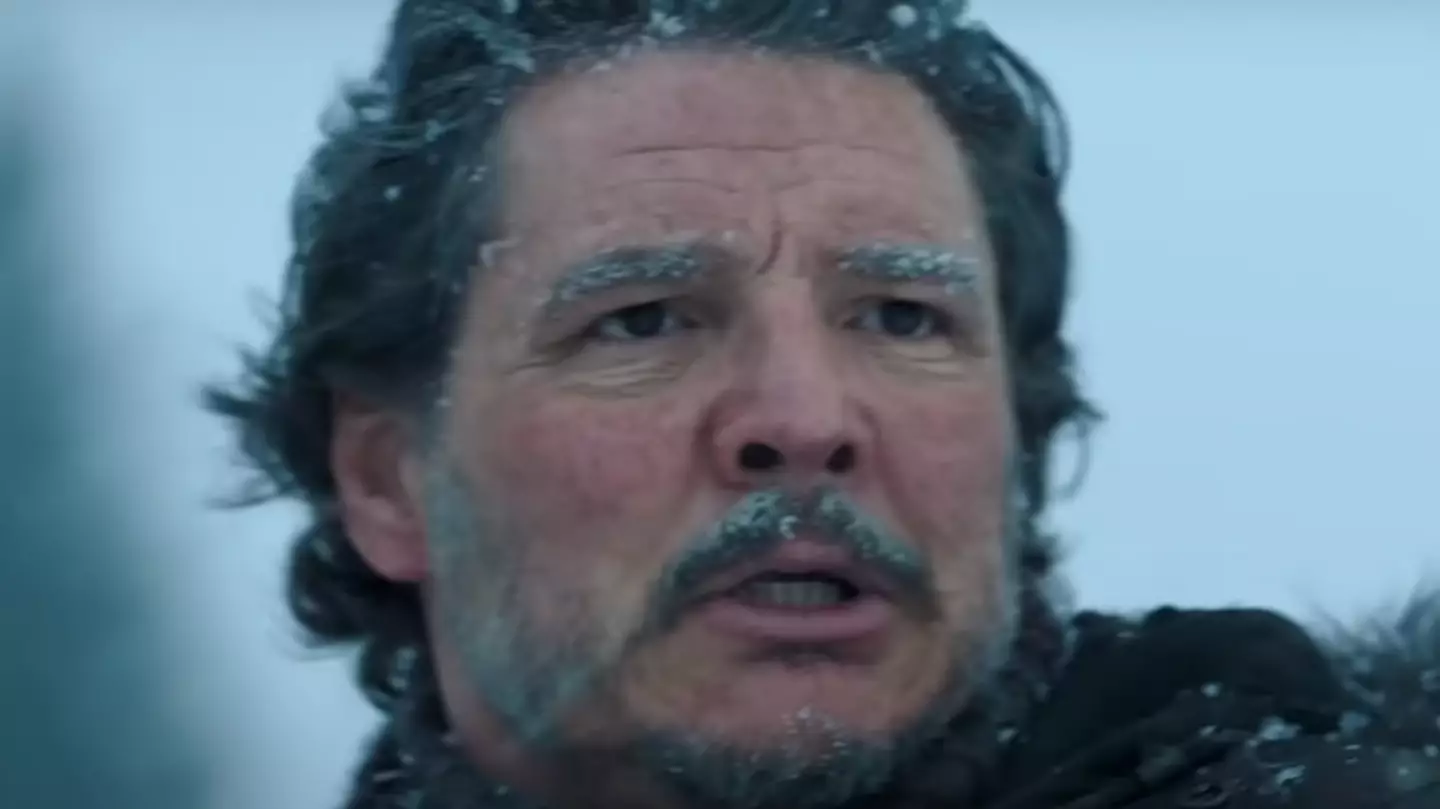 Pedro Pascal issues twisted The Last of Us statement after shocking viewers with brutal scene