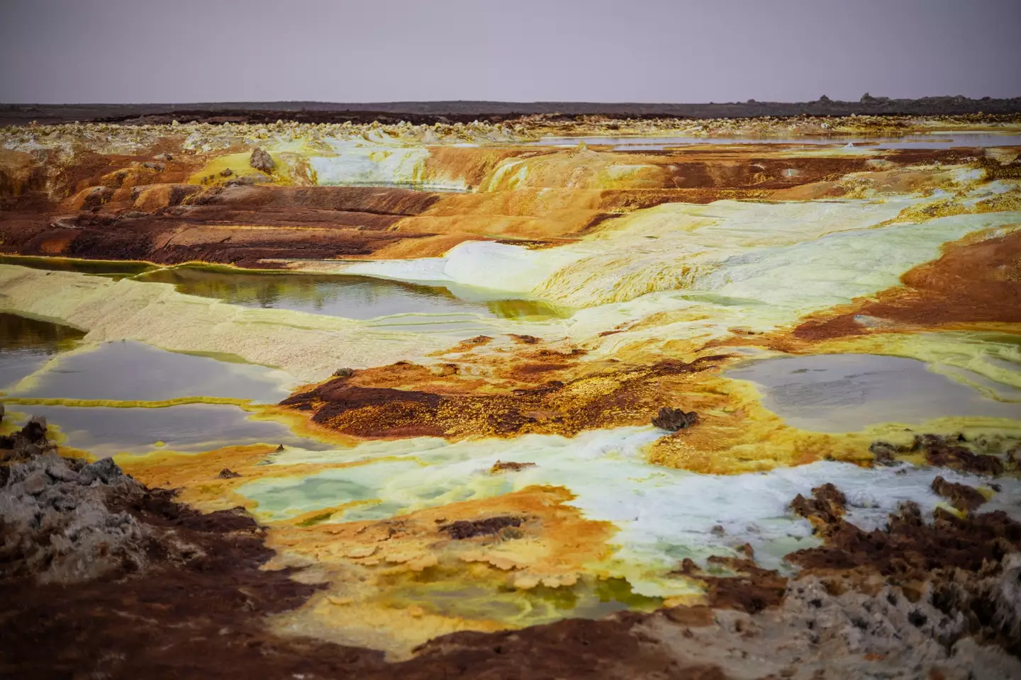 The area is pretty deadly. (MICHELE SPATARI/AFP via Getty Images)