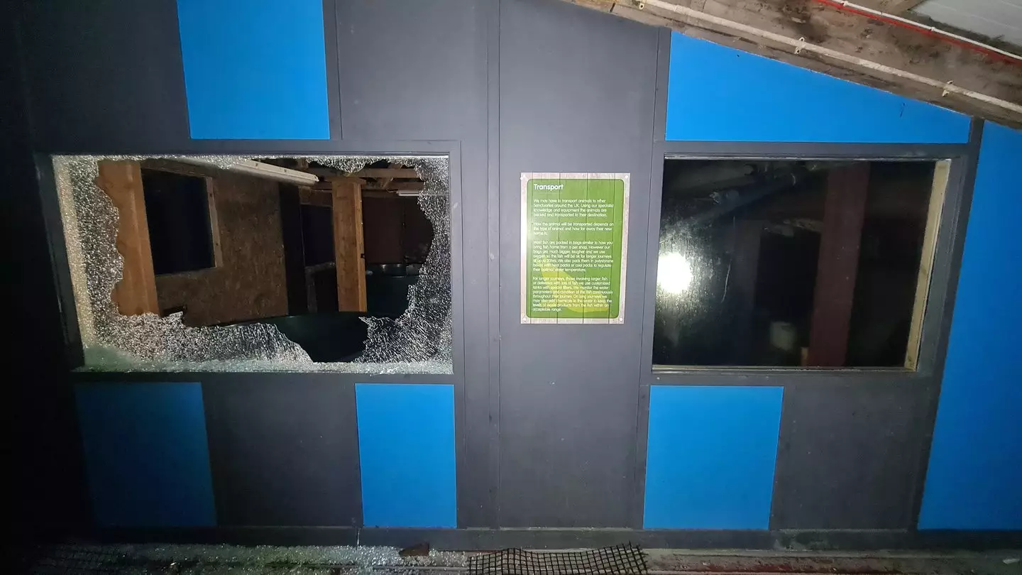 The site has since been completely abandoned (SWNS)