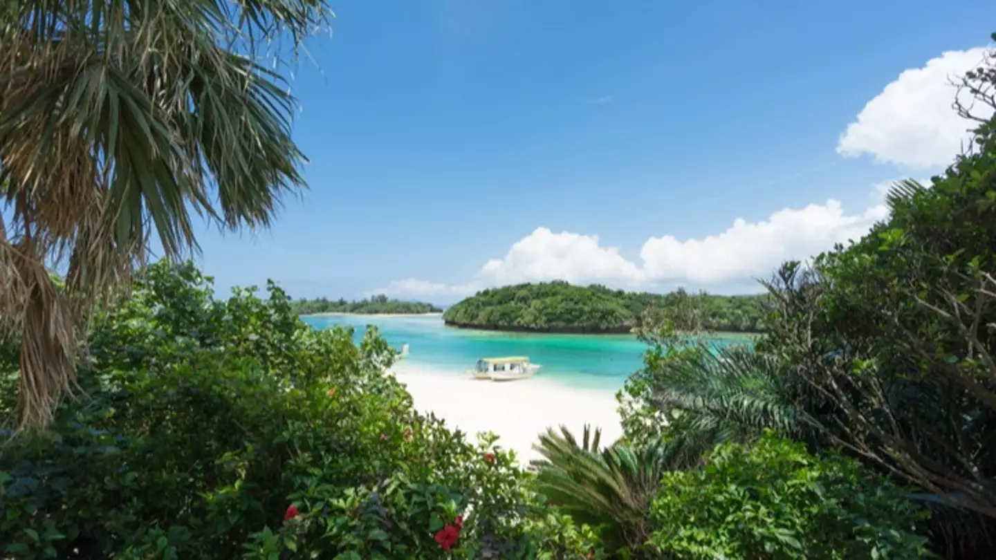 Five golden rules people follow on Blue Zone island with highest life expectancy in the world