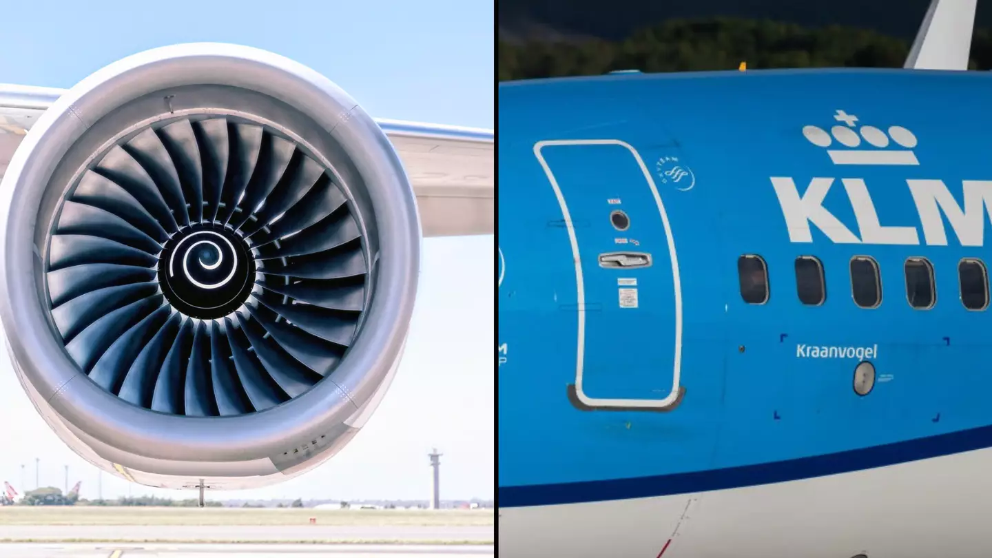 Airline issues statement after person was sucked into plane engine and killed at Amsterdam airport