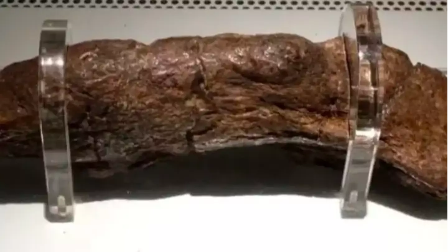 Jorvik Viking Centre