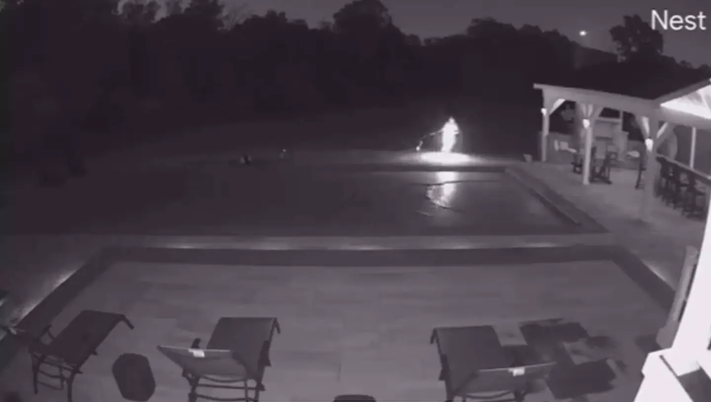 The dog owner dashed back indoors after hearing the chilling sound.