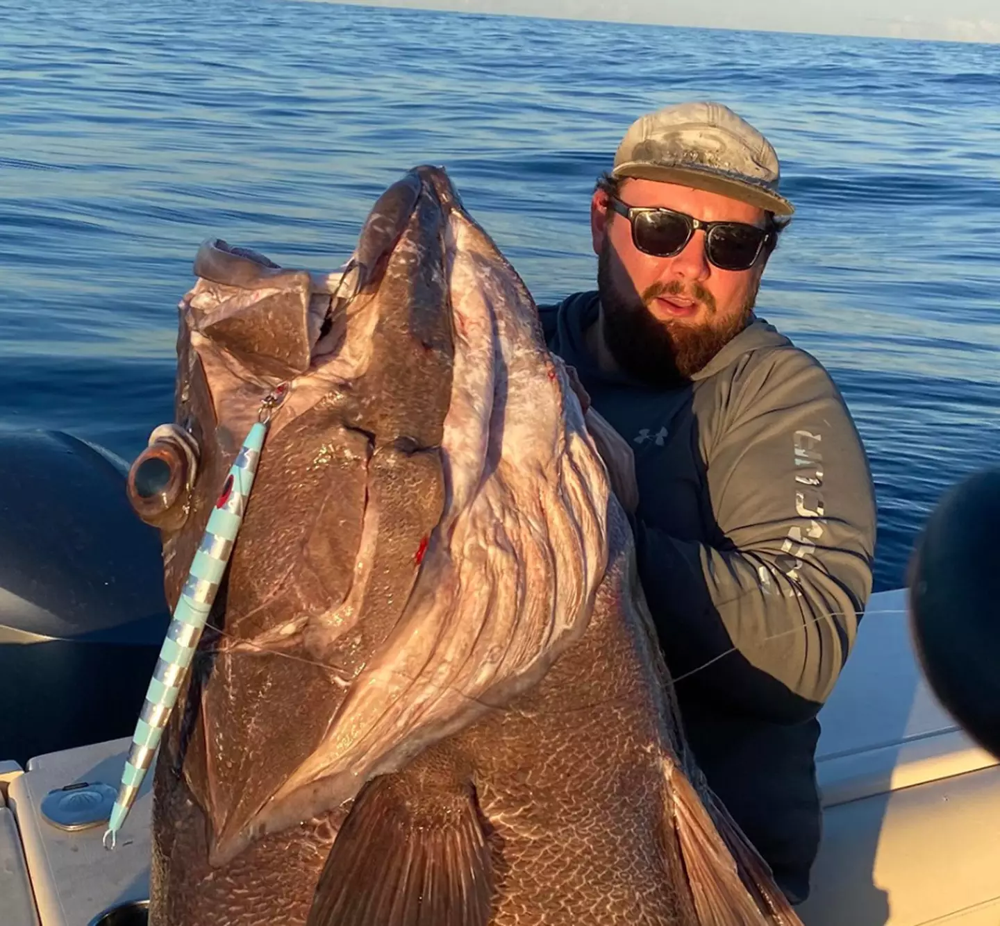 The fish was a giant bass grouper.