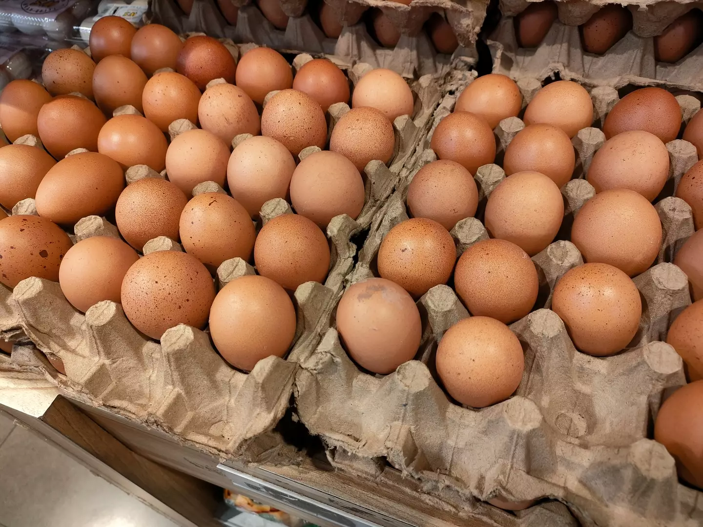 Scientists think they have finally found answer to age-old chicken and egg debate 2 But then if you need a chicken to lay an egg, where did the first chicken come from if not from the egg? (Getty Stock Photo)