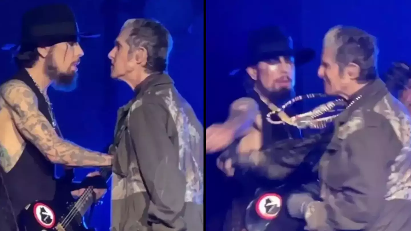 Jane's Addiction band cancels tour after frontman punched guitarist in mid-song fight