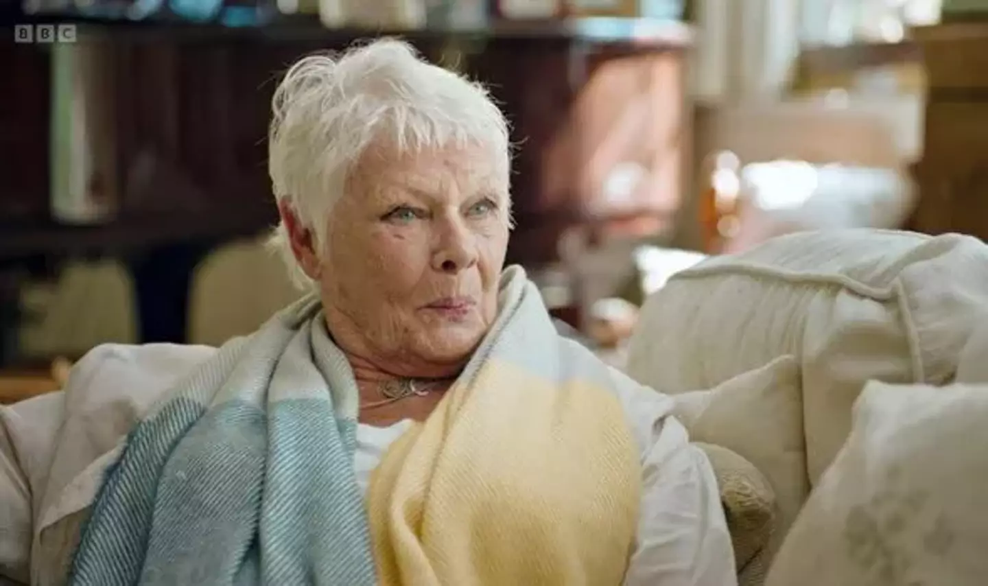 Dame Judi was less than impressed with Theroux’s question.