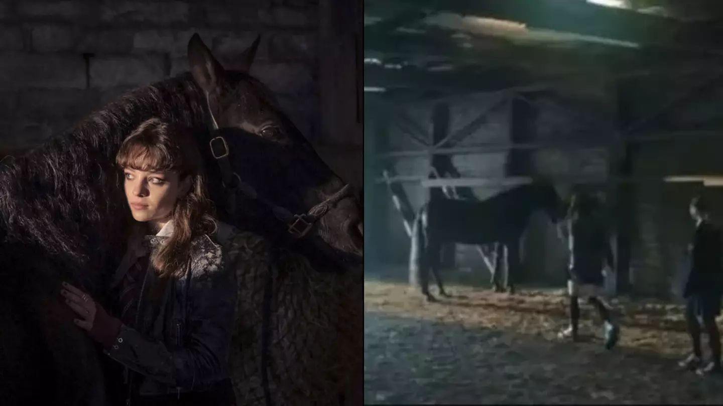 Horrified BBC viewers ask if there was 'any need' for gruesome horse scene in first episode of new drama